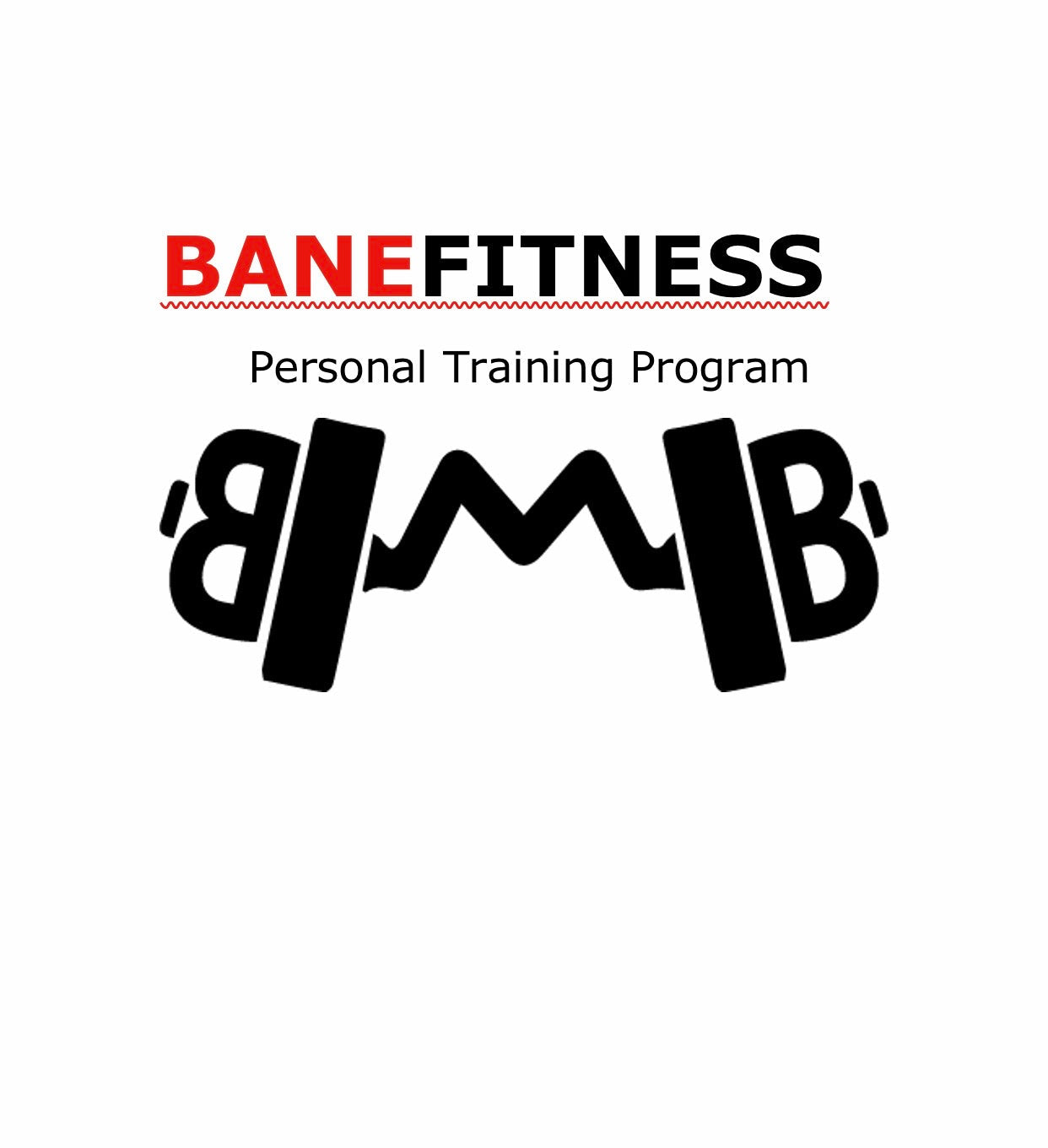 Bane Fitness Athlete Training Program