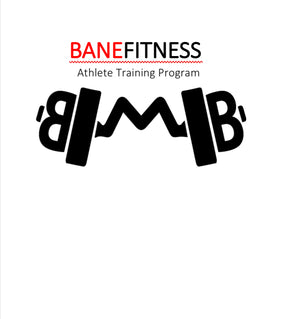 Bane Fitness Students Training